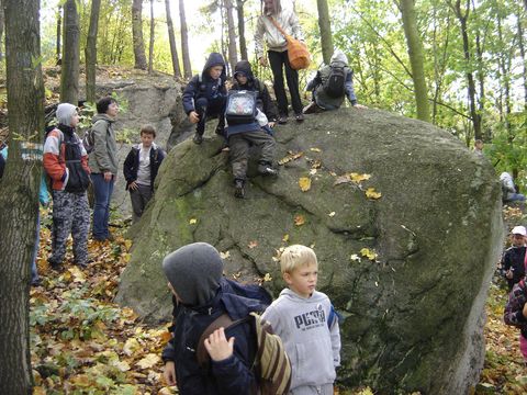 XXIV Rajd Wzg�rz Strzeli�skich - Ska�ki Skalickie