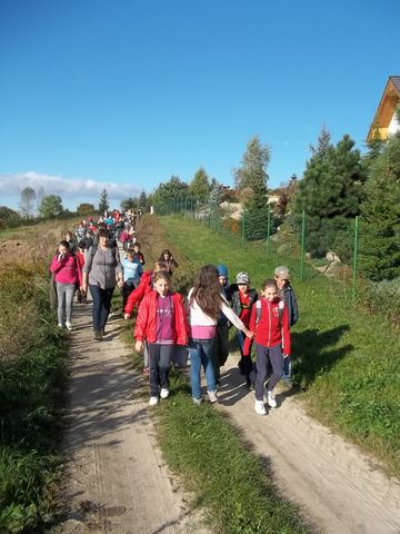 XXV Jubileuszowy Rajd Wzg�rz Strzeli�skich s028 - PTTK Strzelin