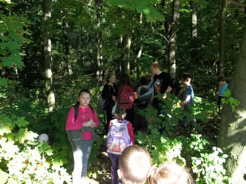 XXV Jubileuszowy Rajd Wzg�rz Strzeli�skich s034 - PTTK Strzelin