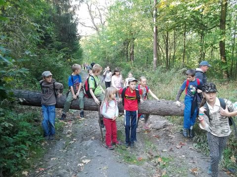 XXV Jubileuszowy Rajd Wzg�rz Strzeli�skich s036 - PTTK Strzelin