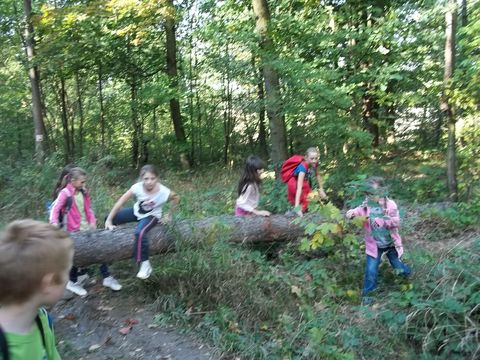 XXV Jubileuszowy Rajd Wzg�rz Strzeli�skich s037 - PTTK Strzelin