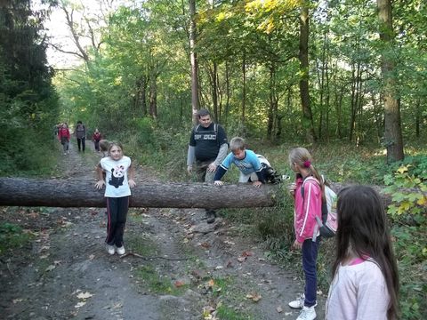 XXV Jubileuszowy Rajd Wzg�rz Strzeli�skich s038 - PTTK Strzelin