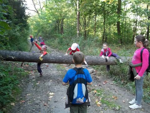 XXV Jubileuszowy Rajd Wzg�rz Strzeli�skich s039 - PTTK Strzelin