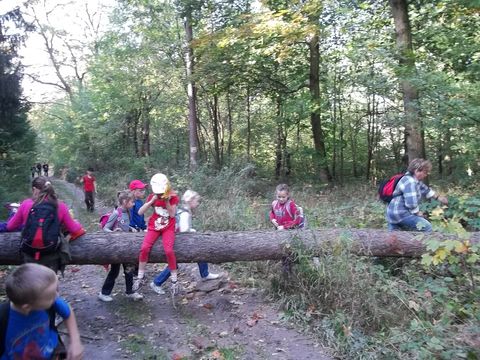 XXV Jubileuszowy Rajd Wzg�rz Strzeli�skich s040 - PTTK Strzelin