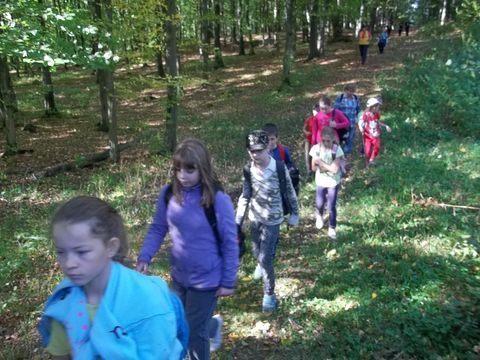 XXV Jubileuszowy Rajd Wzg�rz Strzeli�skich s048 - PTTK Strzelin