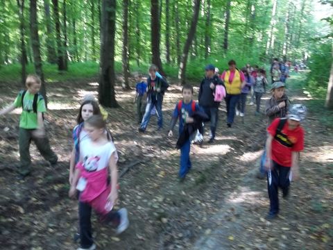 XXV Jubileuszowy Rajd Wzg�rz Strzeli�skich s050 - PTTK Strzelin