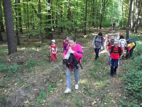 XXV Jubileuszowy Rajd Wzg�rz Strzeli�skich s051 - PTTK Strzelin