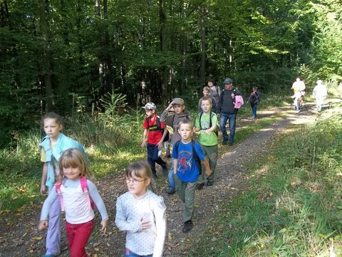 XXV Jubileuszowy Rajd Wzg�rz Strzeli�skich s053 - PTTK Strzelin