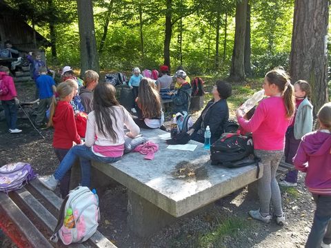 XXV Rajd Wzg�rz Strzeli�skich - Skrzy�owanie pod D�bem s058 - PTTK Strzelin