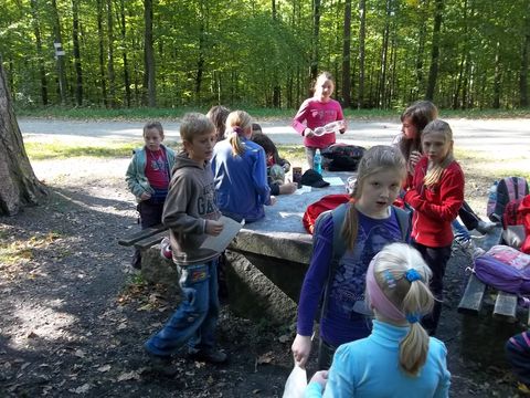 XXV Rajd Wzg�rz Strzeli�skich - Skrzy�owanie pod D�bem s061 - PTTK Strzelin