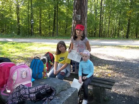 XXV Rajd Wzg�rz Strzeli�skich - Skrzy�owanie pod D�bem s065 - PTTK Strzelin