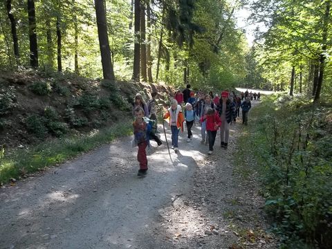 XXV Jubileuszowy Rajd Wzg�rz Strzeli�skich s003 - PTTK Strzelin