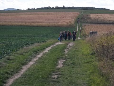 XXV Jubileuszowy Rajd Wzg�rz Strzeli�skich s038 - PTTK Strzelin