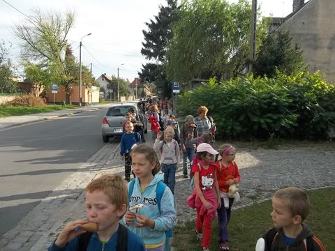 XXV Rajd Wzg�rz Strzeli�skich - w Strzelinie s055 - PTTK Strzelin