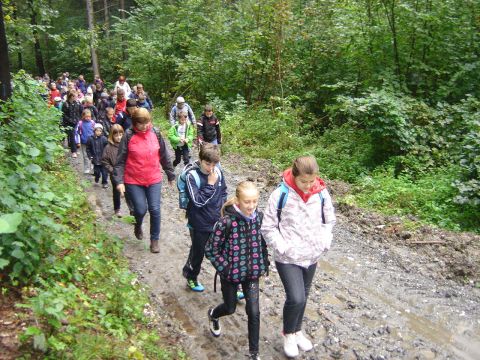 XXVI Rajd Wzg�rz Strzeli�skich - z Pi�awy G�rnej do Ligoty Ma�ej s007 - PTTK Strzelin