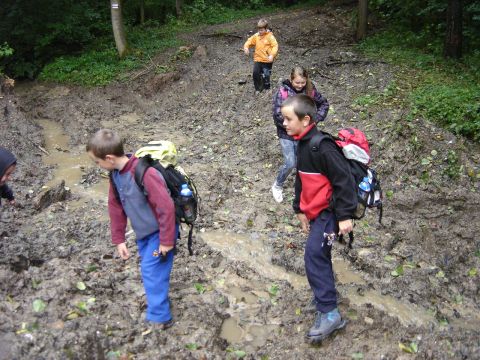 XXVI Rajd Wzg�rz Strzeli�skich - z Pi�awy G�rnej do Ligoty Ma�ej s015 - PTTK Strzelin