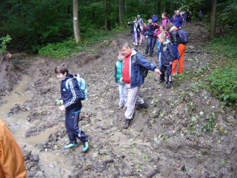 XXVI Rajd Wzg�rz Strzeli�skich - z Pi�awy G�rnej do Ligoty Ma�ej s018 - PTTK Strzelin