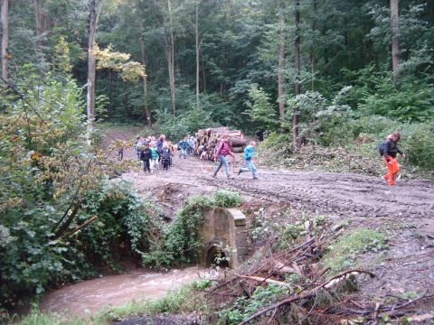 XXVI Rajd Wzg�rz Strzeli�skich - z Pi�awy G�rnej do Ligoty Ma�ej s020 - PTTK Strzelin