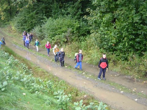 XXVI Rajd Wzg�rz Strzeli�skich - z Pi�awy G�rnej do Ligoty Ma�ej s023 - PTTK Strzelin