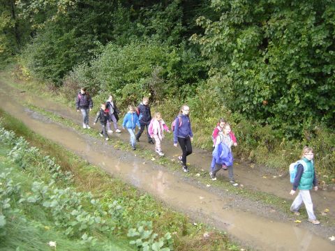 XXVI Rajd Wzg�rz Strzeli�skich - z Pi�awy G�rnej do Ligoty Ma�ej s024 - PTTK Strzelin