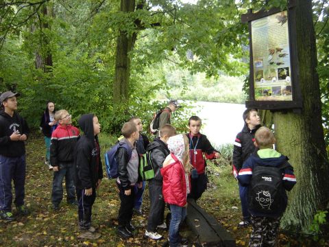 XXVI Rajd Wzg�rz Strzeli�skich - stawy ligockie s042 - PTTK Strzelin