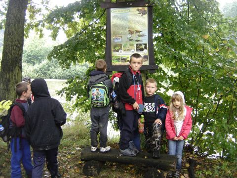 XXVI Rajd Wzg�rz Strzeli�skich - stawy ligockie s043 - PTTK Strzelin