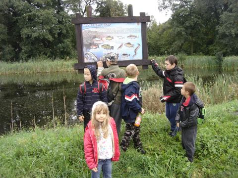 XXVI Rajd Wzg�rz Strzeli�skich - stawy ligockie s052 - PTTK Strzelin