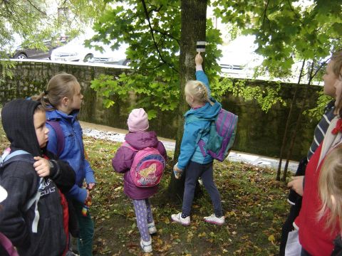 XXVI Rajd Wzg�rz Strzeli�skich - Przerzeczyn-Zdr�j s085 - PTTK Strzelin