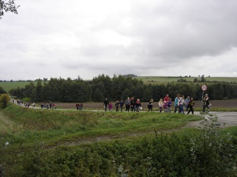 XXVI Rajd Wzg�rz Strzeli�skich - w drodze na Ostr� G�r� s004 - PTTK Strzelin