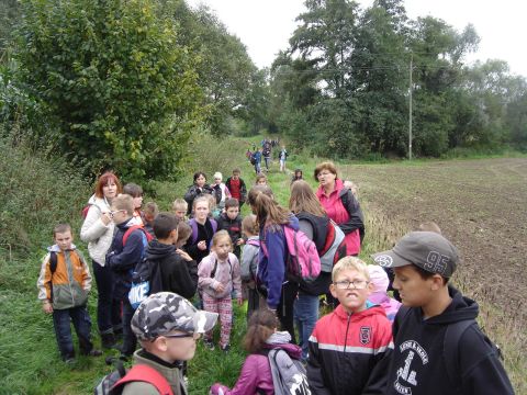 XXVI Rajd Wzg�rz Strzeli�skich - w drodze na Ostr� G�r� s008 - PTTK Strzelin