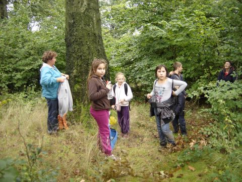 XXVI Rajd Wzg�rz Strzeli�skich - na Ostrej G�rze s018 - PTTK Strzelin