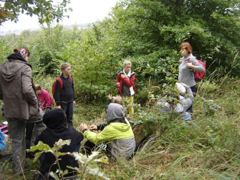 XXVI Rajd Wzg�rz Strzeli�skich - na Ostrej G�rze s022 - PTTK Strzelin