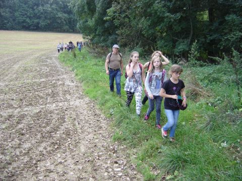 XXVII Rajd Wzg�rz Strzeli�skich - zej�cie do Janowiczek s047 - PTTK Strzelin