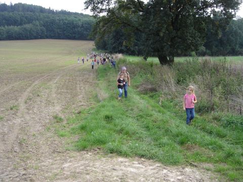 XXVII Rajd Wzg�rz Strzeli�skich - zej�cie do Janowiczek s049 - PTTK Strzelin