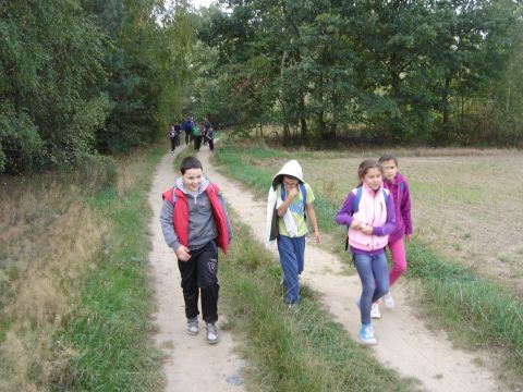 XXVIII Rajd Wzg�rz Strzeli�skich -  w drodze do Biskupiego Lasu s020 - PTTK Strzelin