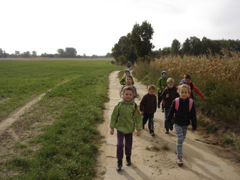 XXVIII Rajd Wzg�rz Strzeli�skich -  w drodze do Biskupiego Lasu s022 - PTTK Strzelin