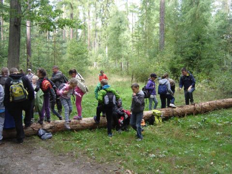 XXVIII Rajd Wzg�rz Strzeli�skich - Biskupi Las s030 - PTTK Strzelin