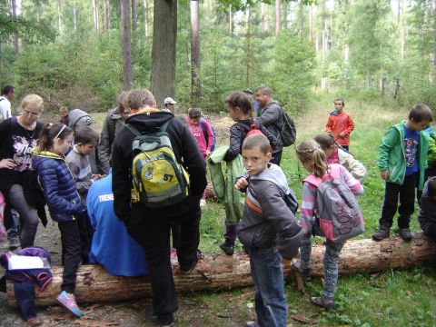 XXVIII Rajd Wzg�rz Strzeli�skich - Biskupi Las s031 - PTTK Strzelin