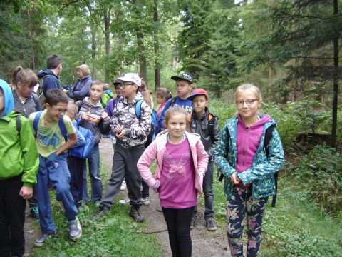 XXVIII Rajd Wzg�rz Strzeli�skich - Biskupi Las s035 - PTTK Strzelin