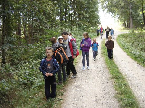 XXVIII Rajd Wzg�rz Strzeli�skich - Biskupi Las s038 - PTTK Strzelin