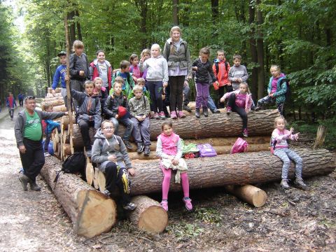 XXVIII Rajd Wzg�rz Strzeli�skich - Biskupi Las s040 - PTTK Strzelin