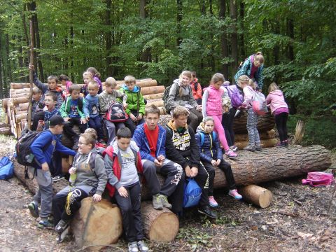 XXVIII Rajd Wzg�rz Strzeli�skich - Biskupi Las s041 - PTTK Strzelin