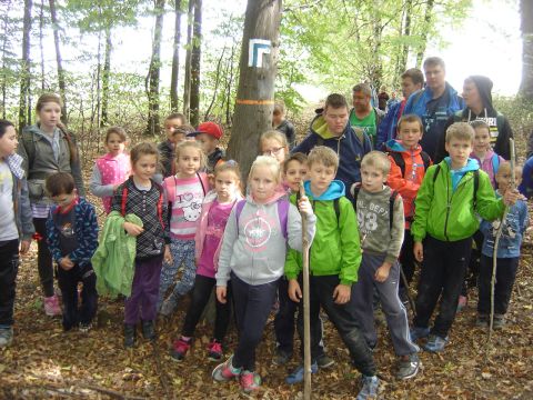 XXVIII Rajd Wzg�rz Strzeli�skich - Biskupi Las s045 - PTTK Strzelin