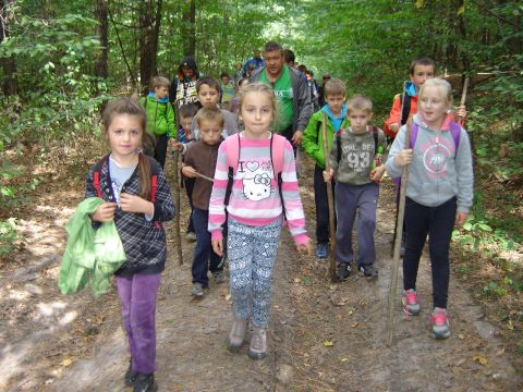 XXVIII Rajd Wzg�rz Strzeli�skich - Biskupi Las s047 - PTTK Strzelin