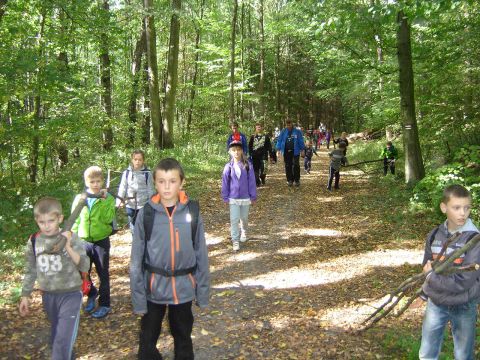 XXVIII Rajd Wzg�rz Strzeli�skich - Biskupi Las s052 - PTTK Strzelin