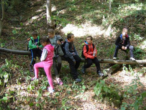 XXVIII Rajd Wzg�rz Strzeli�skich - Biskupi Las s056 - PTTK Strzelin