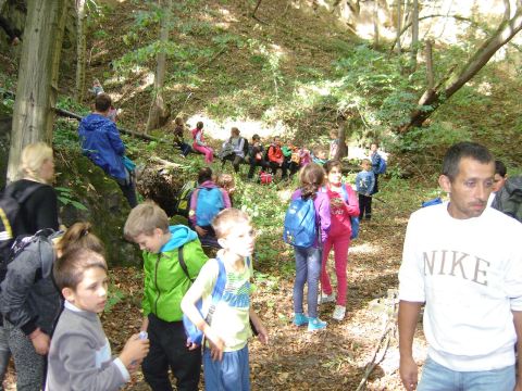 XXVIII Rajd Wzg�rz Strzeli�skich - Biskupi Las s061 - PTTK Strzelin