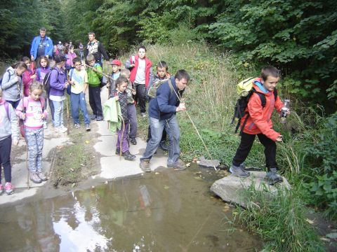 XXVIII Rajd Wzg�rz Strzeli�skich - Biskupi Las s064 - PTTK Strzelin