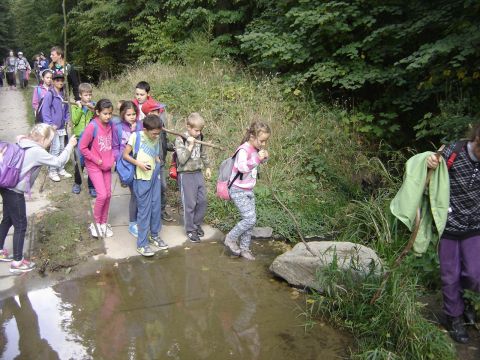 XXVIII Rajd Wzg�rz Strzeli�skich - Biskupi Las s065 - PTTK Strzelin