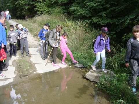 XXVIII Rajd Wzg�rz Strzeli�skich - Biskupi Las s069 - PTTK Strzelin